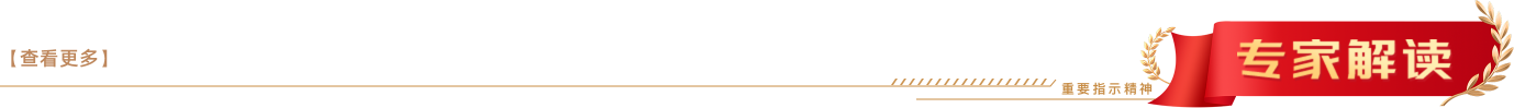 专家解读